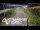Webcam in North Shore, 0.6 mi away
