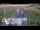 Webcam in North Shore, 5.3 km entfernt