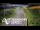 Webcam in North Shore, 4.8 km