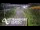 Webcam in North Shore, 5.3 km entfernt