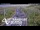 Webcam in North Shore, 7.7 km