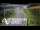 Webcam in North Shore, 0.6 mi away