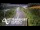 Webcam in North Shore, 0.6 mi away
