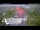 Webcam in North Shore, 0.6 mi away