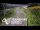 Webcam in North Shore, 0.6 mi away