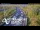 Webcam in North Shore, 2.7 mi away