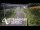 Webcam in North Shore, 10.4 km