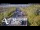 Webcam in North Shore, 0.6 mi away