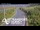 Webcam in North Shore, 0.6 mi away