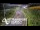 Webcam in North Shore, 0.6 mi away