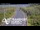 Webcam in North Shore, 0.6 mi away