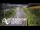Webcam in North Shore, 6.7 km entfernt