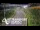 Webcam in North Shore, 0.6 mi away