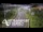 Webcam in North Shore, 5.3 km entfernt