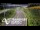 Webcam in North Shore, 0.6 mi away