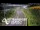 Webcam in North Shore, 4.8 km