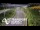 Webcam in North Shore, 0.6 mi away