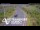 Webcam in North Shore, 6.7 km