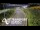Webcam in North Shore, 7.3 km