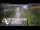 Webcam in North Shore, 0.6 mi away