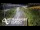 Webcam in North Shore, 5.3 km entfernt