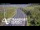 Webcam in North Shore, 5.3 km entfernt
