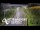 Webcam in North Shore, 0.6 mi away