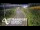 Webcam in North Shore, 0.6 mi away