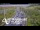Webcam in North Shore, 3.5 km