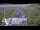 Webcam in North Shore, 0.6 mi away