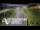 Webcam in North Shore, 0.6 mi away
