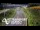 Webcam in North Shore, 5.3 km entfernt