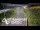 Webcam in North Shore, 0.6 mi away