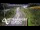 Webcam in North Shore, 10.4 km