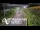 Webcam in North Shore, 10.4 km entfernt