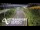 Webcam in North Shore, 0.6 mi away