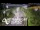 Webcam in North Shore, 0.6 mi away