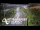 Webcam in North Shore, 0.6 mi away