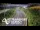 Webcam in North Shore, 7.3 km entfernt