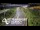 Webcam in North Shore, 0.6 mi away