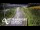 Webcam in North Shore, 0.6 mi away
