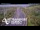 Webcam in North Shore, 0.6 mi away
