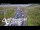 Webcam in North Shore, 5.3 km entfernt