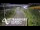 Webcam in North Shore, 3.5 km