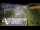 Webcam in North Shore, 0.6 mi away