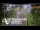 Webcam in North Shore, 5.3 km entfernt