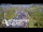 Webcam in North Shore, 3.5 km entfernt