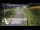 Webcam in North Shore, 0.6 mi away
