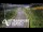 Webcam in North Shore, 0.6 mi away