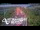 Webcam in North Shore, 7.8 km